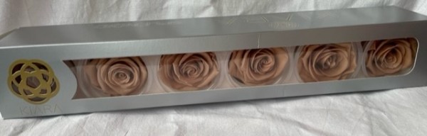 Rose gefriergetrocknet 6 Stk. Infinity Rosen Nude beige Sand echte Rose Rosenkopf