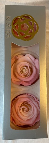 Rose gefriergetrocknet 3 Stk.Infinity Rosen Pearl Pink Rosa echte Rose