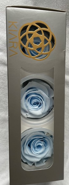 Rose gefriergetrocknet 3 Stk. Rosenkopf groß hellblau Infinity Rose Baby Blue