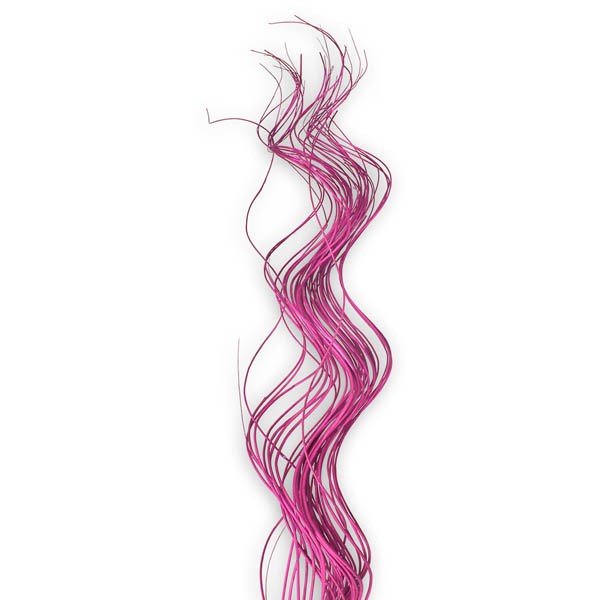 Twisted Curly erika
