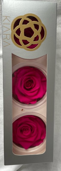Rose gefriergetrocknet 3 Stk. Infinity Rosen Pink Hot Pink echte Rose Rosenkopf