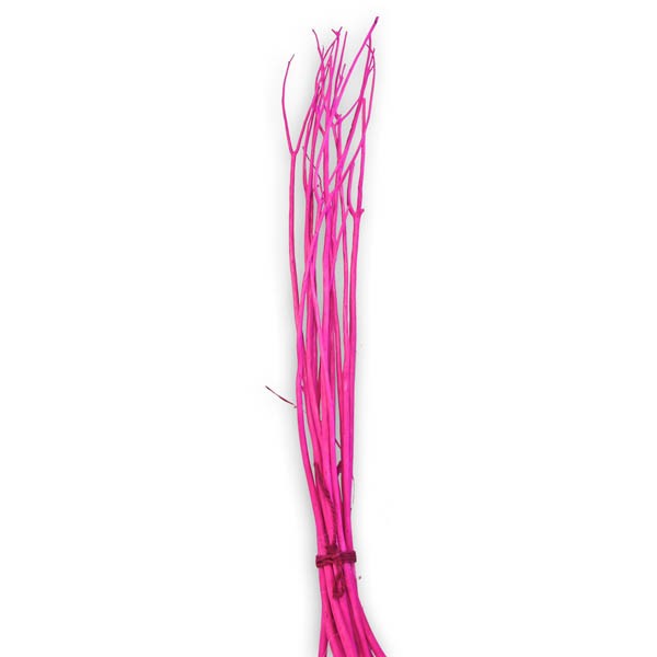 Mitsumata pink