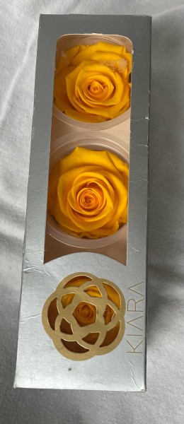 Rose gefriergetrocknet 3 Stk. Infinity Rosen gelb echte Rose Rosenkopf Sunny Yellow