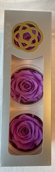 Rose gefriergetrocknet 3 Stk. Infinity Rosen Lila Flieder Lavendel echte Rose Rosenkopf Baby Lili