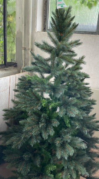 Weihnachtsbaum künstlich 185 cm Bristlecone Triumph Tree Baum Tanne