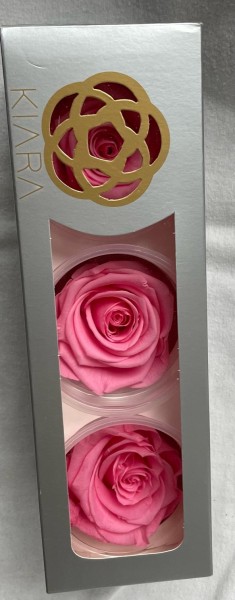 Rose gefriergetrocknet 3 Stk. Rosenkopf konservierte Rose Infinity Rose Rosa Baby Pink Pink