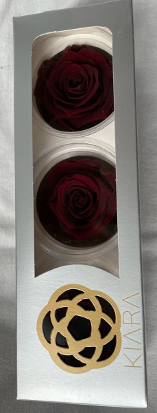 Rose gefriergetrocknet Rot Rosenkopf 3er Valentnstag Infinity Rose Burgundy